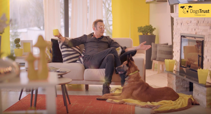 Djuro & Dogs Trust